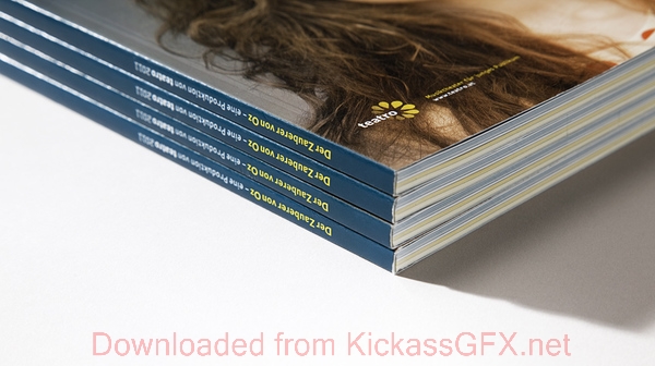 谁知道内部价的网页DDOS攻击平台